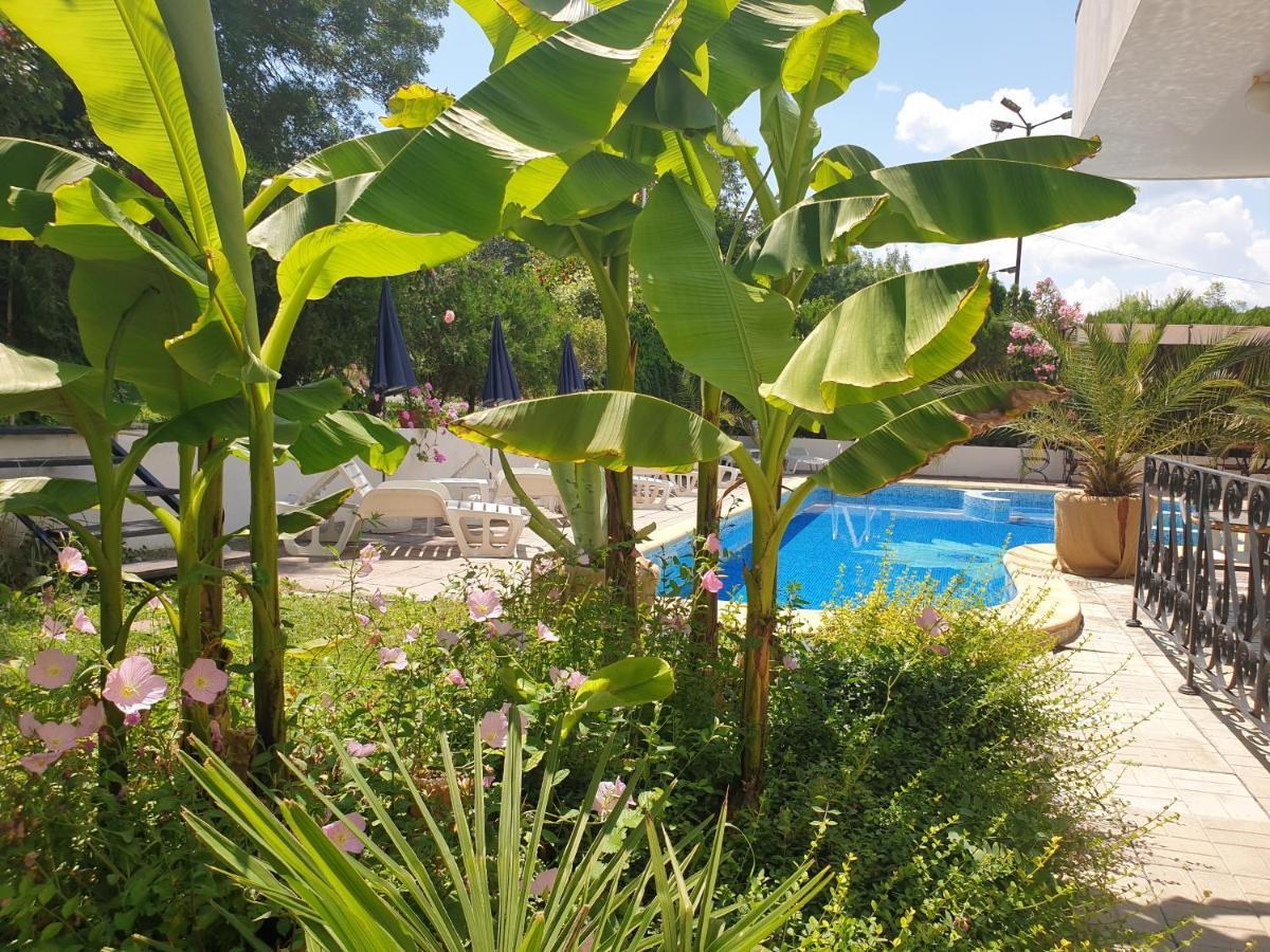 Hotel Feniks لوزينيتس المظهر الخارجي الصورة