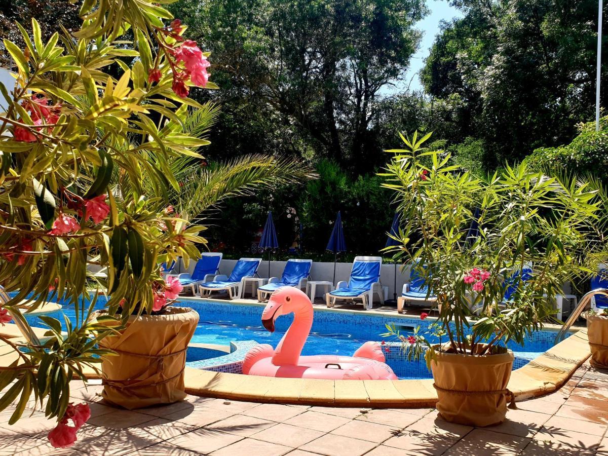 Hotel Feniks لوزينيتس المظهر الخارجي الصورة